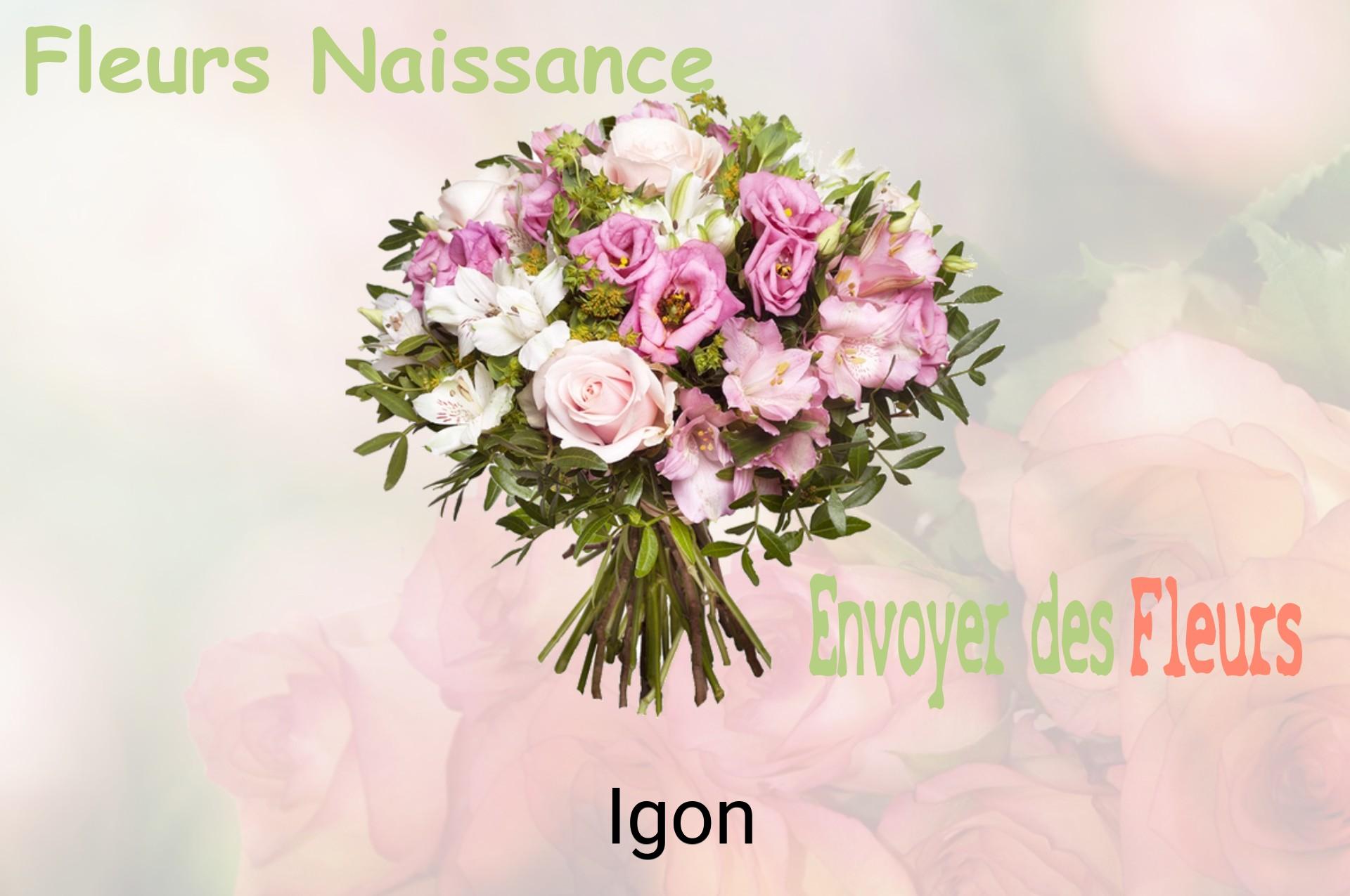 Bouquet de fleurs de naissance livré à Igon